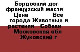 Бордоский дог ( французский масти)  › Цена ­ 50 000 - Все города Животные и растения » Собаки   . Московская обл.,Жуковский г.